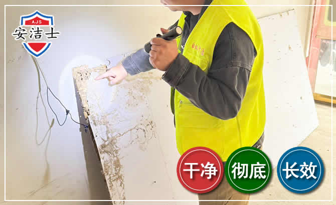 五指山除白蚁现场