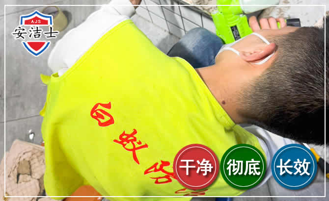 五指山白蚁根治现场